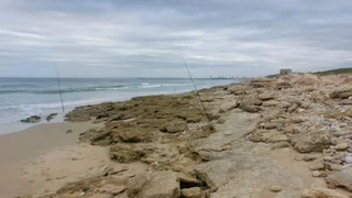 Wanted! Interceptor 186, Flamingo,Excalbre! Cash buyer