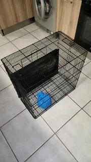 Hamster Cage 2 months old