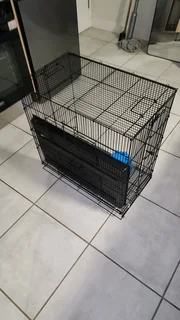 Hamster Cage 2 months old