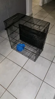 Hamster Cage 2 months old