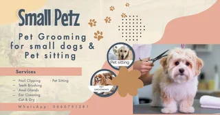 Home Pet Grooming- small dogs