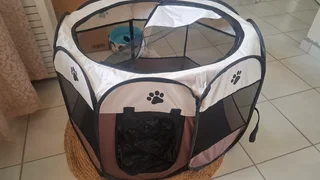 Jersey Wooly Baby-including enclosure, carrier cage, bed, brush, nail clipper, food