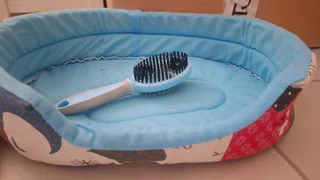 Jersey Wooly Baby-including enclosure, carrier cage, bed, brush, nail clipper, food