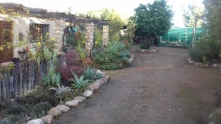 Olive Farm in Van Wyksdorp, 1.2 Hectares