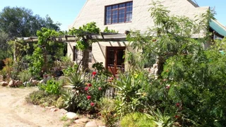 Olive Farm in Van Wyksdorp, 1.2 Hectares