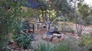 Olive Farm in Van Wyksdorp, 1.2 Hectares