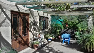 Olive Farm in Van Wyksdorp, 1.2 Hectares