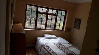 Olive Farm in Van Wyksdorp, 1.2 Hectares