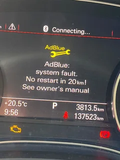 AdBlue  Removal / DELET Service For CARS AND TRUCKS