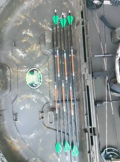 Hoyt Charger compound bow