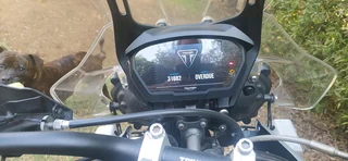 Triumph Tiger 800 XCA 2019