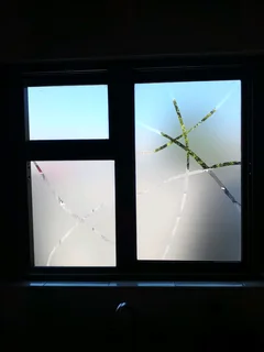 Sandblast vinyl,tinting,signage