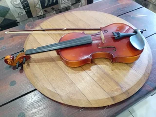 Palatino Violin for R2700