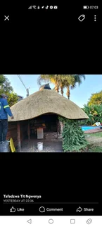 Thatch roof repairs