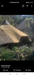 Thatch roof repairs