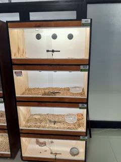 Wooden Multi Layer Reptile Enclosure For Sale Durban
