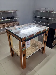 Reptile Display Rack For Sale Durban