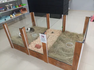 Small Mammal Display Enclosure For Sale