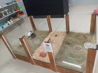 Small Mammal Display Enclosure For Sale