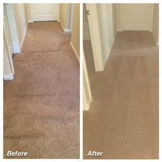 Carpet and Upholstery Cleaners-Couches/Carpets/Mattress/Rugs/Curtains -Hp Cleaning From R50