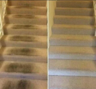 Deep Cleaning Carpet and Upholstery Cleaners-Couches/Carpets/Mattress/Rugs/Curtains/S/ Gard,hp clean