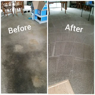 Carpet and Upholstery Cleaners-Couches/Carpets/Mattress/Rugs/Curtains -Hp Cleaning