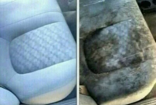 Carpet and Upholstery Cleaners-Couches/Carpets/Mattress/Rugs/Curtains -Hp Cleaning