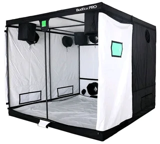 Budbox Pro White Titan Plus Grow Tent - 240 X 240 X 200cm Grow Tent