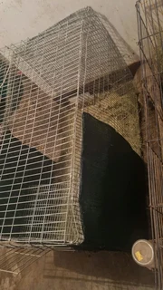 Rabbit cage for sale