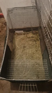 Rabbit cage for sale