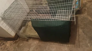 Rabbit cage for sale