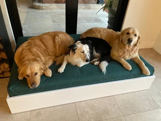 Doggy Bed      (Rex designer dog bed made to required size)