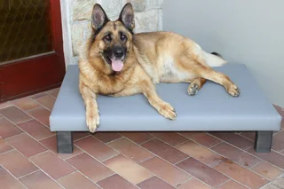 Dog Beds    (Rex )     small   medium   large  and  extra large