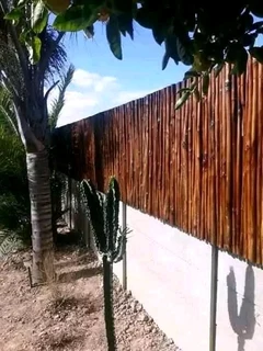 Planter boxes and bamboo wood fencing