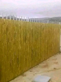 Planter boxes and bamboo wood fencing