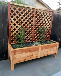 Planter boxes and trellises and fencing