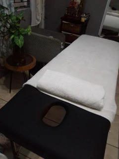 PROFESSIONAL MOBILE MASSAGES