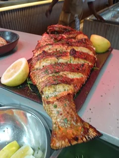 Chef looking for a Job