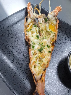 Chef looking for a Job