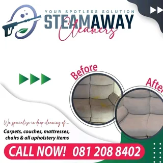 Carpet and couch cleaning