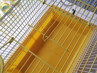 Hamster/Rat Cage