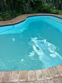 Sparkling Swimming Pool Services