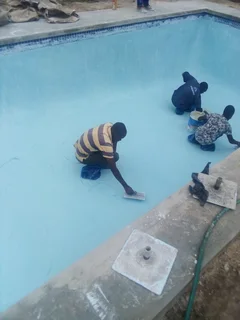Swimming Pool Services