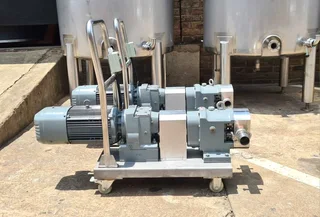 Stainless Steel Lobe Pumps