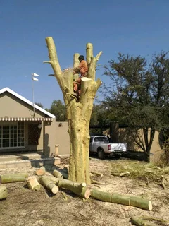 Upman Tree Felling/Boomsloping