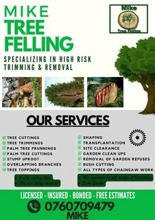 Mike Tree Felling