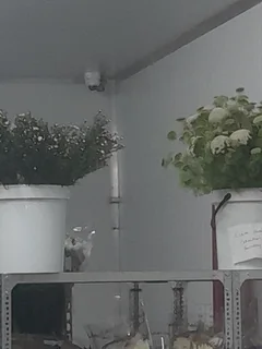 Network Cabling Technician.