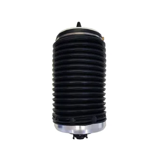 Audi A6 Sedan Air Shocks, Air Bellows and Air Suspension Compressor Pumps on Exchange