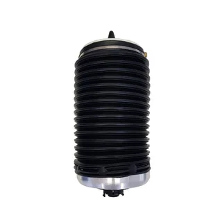 Audi Allroad Quattro (4Z7 / 4F C6 / 4G) Air Shocks and Air Bellows on Exchange