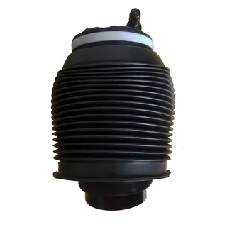 Toyota Prado 120 Series Rear Air Bellows